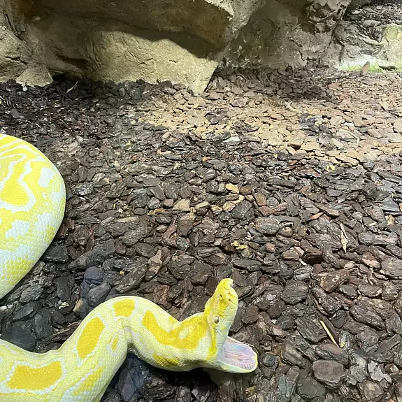 7f61f72b-62ee-4e28-88de-418841cef1c3