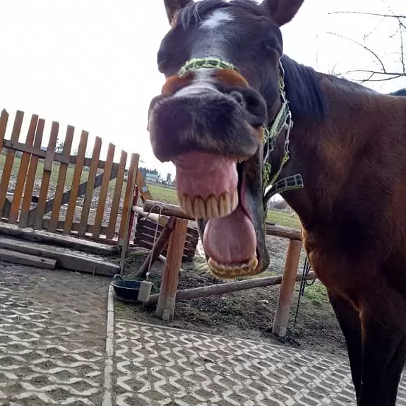 3B Lucka Böhmová