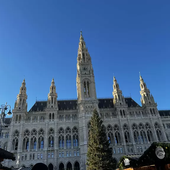 81e3e242-1df3-4129-808a-154c642980a2