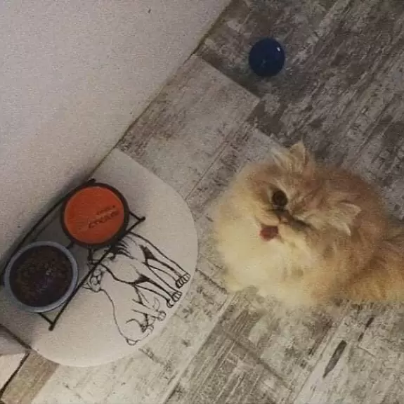 9.C-Natálie Rajdusová