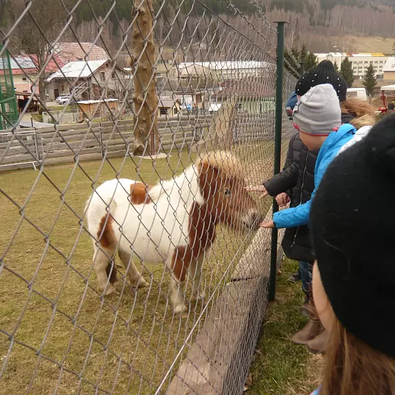 fauna park