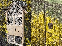 Prvního dubna - Mezinárodní den ptactva