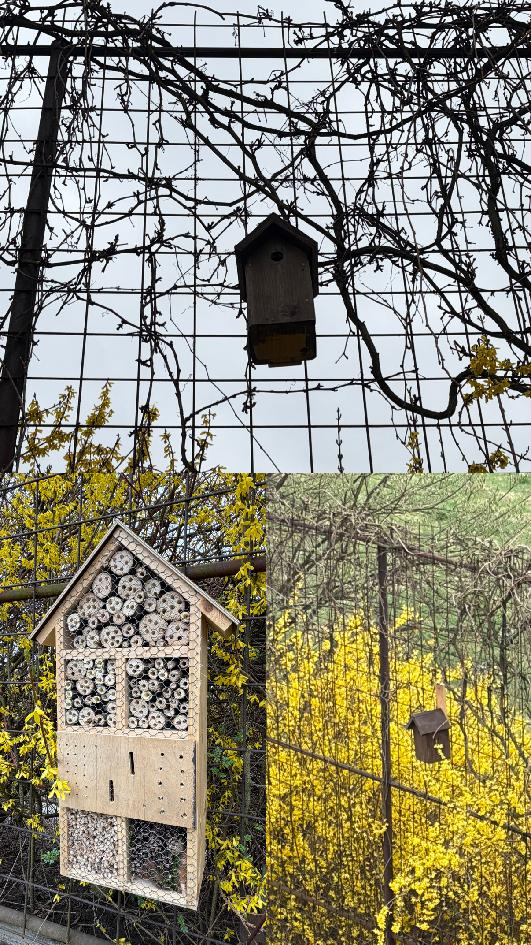 Ptač&iacute; budka a hmyz&iacute; domeček