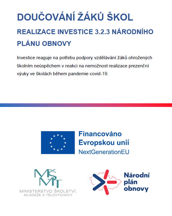 Náhled dokumentu Doučování žáků škol